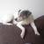 Isle Of Skye And The Highlands reviewer